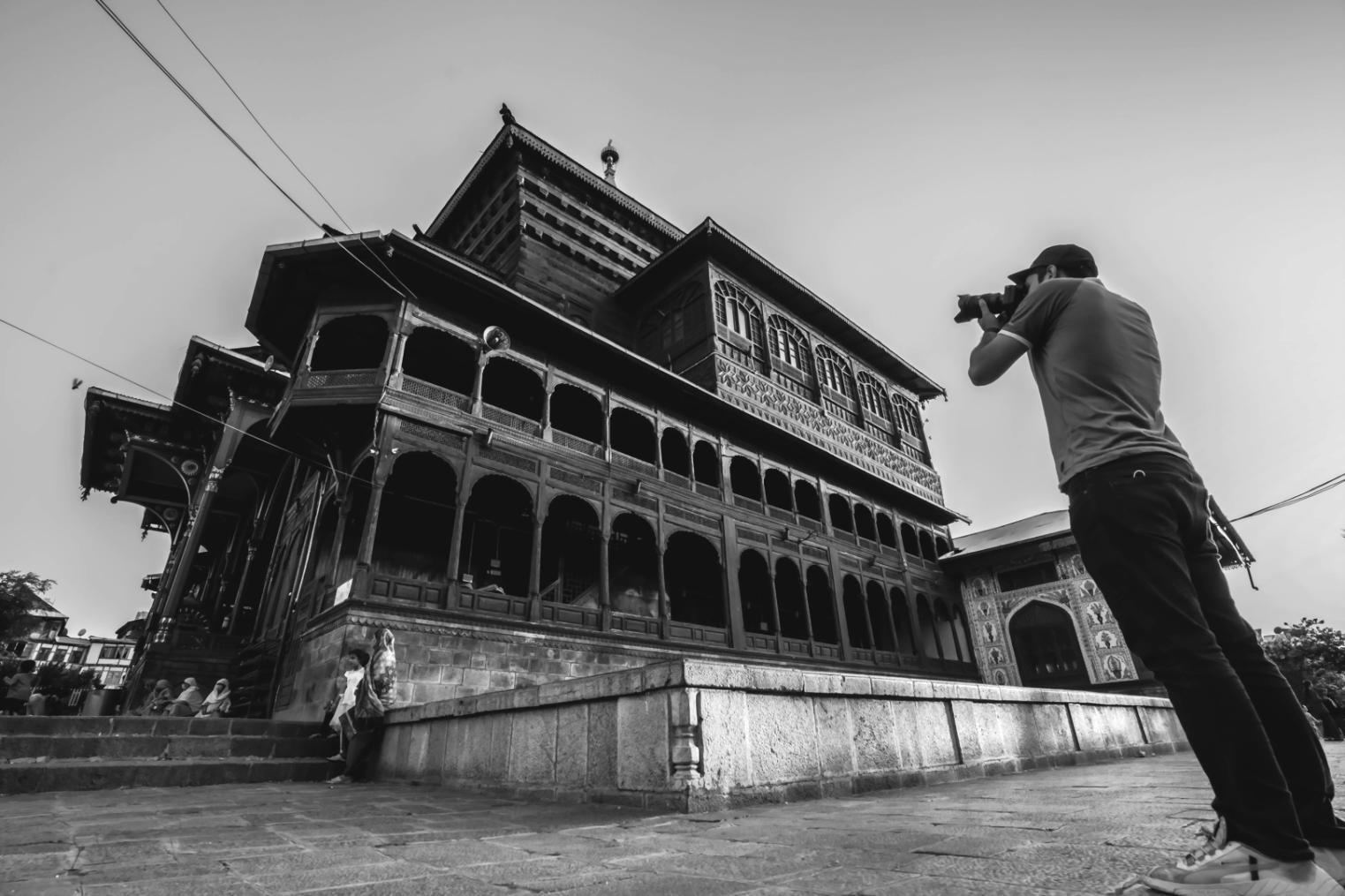 Detailreiche Makroaufnahme von Naturmotiven mit besonderen Formen