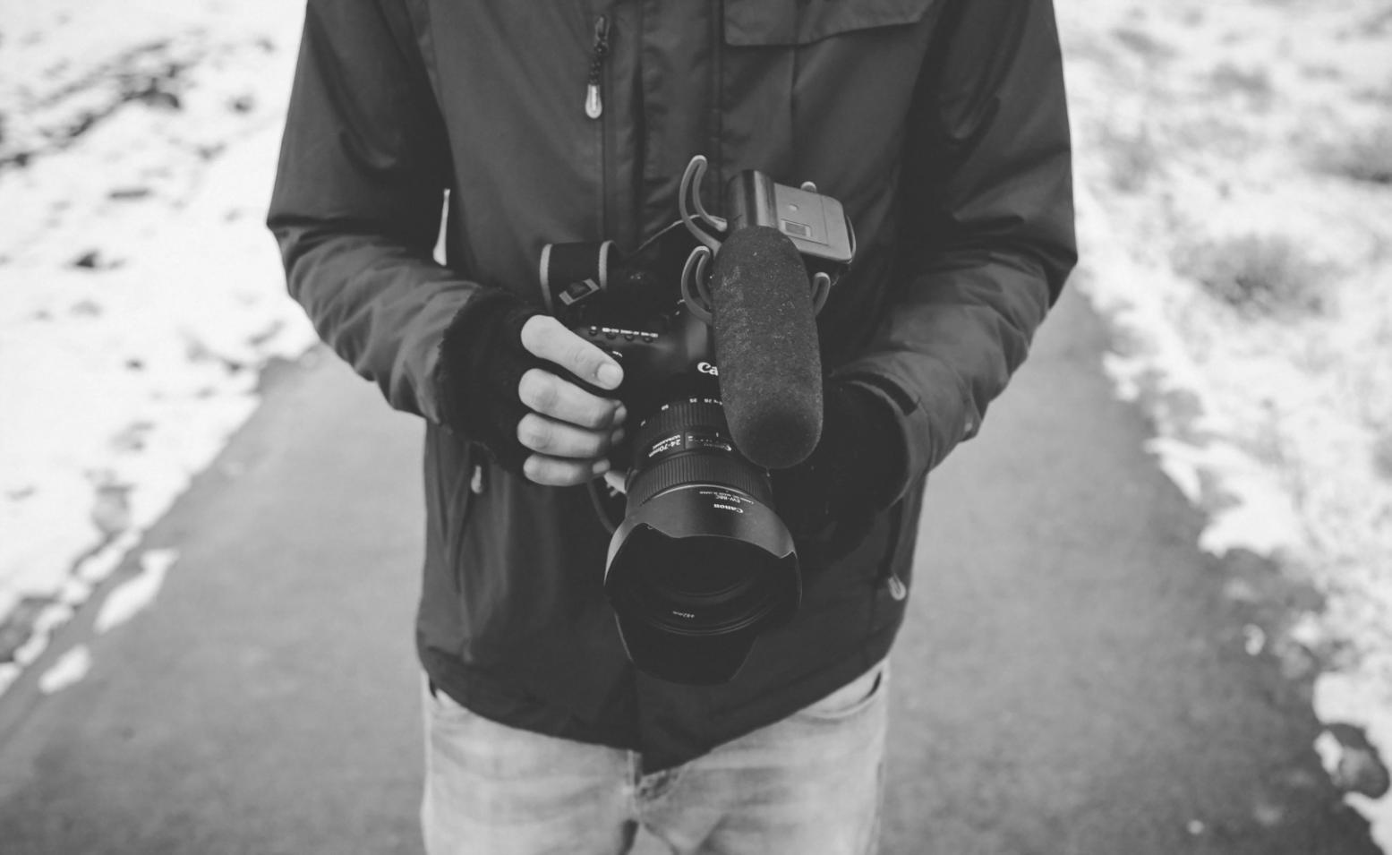 Makroaufnahme von Blütenstempel mit feinen Details und natürlichem Licht